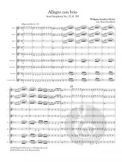 Allegro con brio from Symphony No. 25, K. 183 von Wolfgang Amadeus Mozart 
