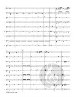 Allegro con brio from Symphony No. 25, K. 183 von Wolfgang Amadeus Mozart 