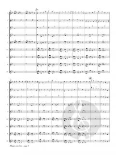 Allegro con brio from Symphony No. 25, K. 183 von Wolfgang Amadeus Mozart 