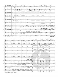 Allegro Molto from Symphony No. 40 von Wolfgang Amadeus Mozart 