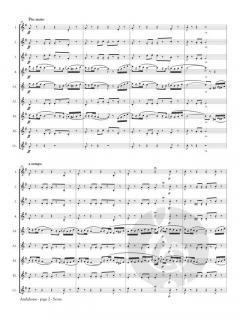 Andalouse von Emile Pessard 