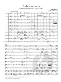 Andante con moto from Symphony No. 8 von Franz Schubert 