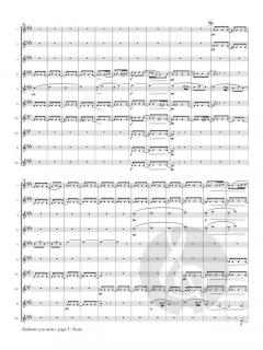 Andante con moto from Symphony No. 8 von Franz Schubert 