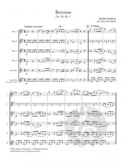 Berceuse op. 28, No. 1 von Joachim Andersen 