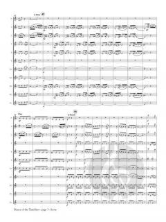 Dance of the Tumblers from The Snow Maiden von Nikolai Rimski-Korsakow 