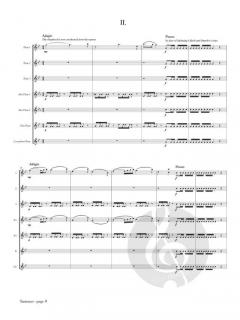 Summer from The 4 Seasons von Antonio Vivaldi 