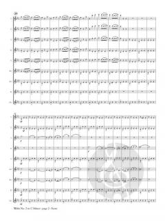 Waltz No. 2 in C Minor von Dmitri Schostakowitsch 