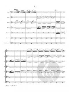 Winter from The 4 Seasons von Antonio Vivaldi 