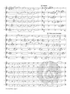 A Lovely Story von Anze Rozman 