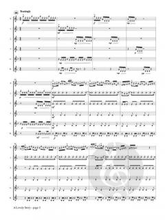 A Lovely Story von Anze Rozman 