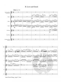 James Towne Trilogy von Catherine McMichael 