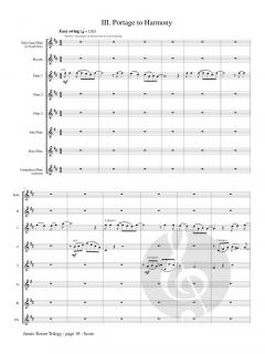 James Towne Trilogy von Catherine McMichael 