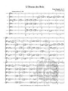 L’Oiseau des Bois von Franz Doppler 