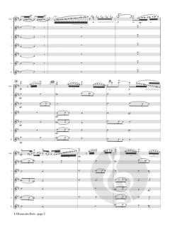 L’Oiseau des Bois von Franz Doppler 