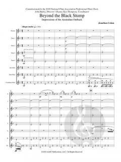 Beyond the Black Stump von Jonathan Cohen 