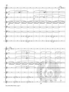 Beyond the Black Stump von Jonathan Cohen 