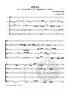 Traverso Colore 1 - Baroque Quintets 