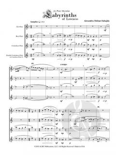 Labyrinths of Lowness von Alexandra Molnar-Suhajda 