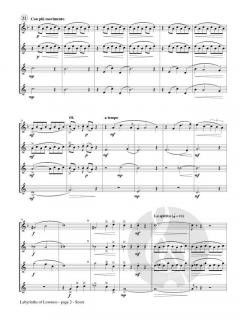 Labyrinths of Lowness von Alexandra Molnar-Suhajda 