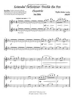 Extended Techniques -- Double the Fun (Deluxe Edition!) von Phyllis Avidan Louke 