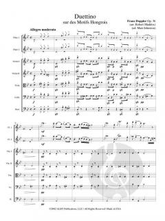 Duettino sur des Motifs Hongrois op. 36 von Franz Doppler 