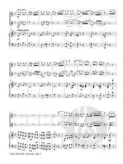 Serenade op. 137 von Giulio Briccialdi 