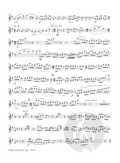 Children of the Wind von Catherine McMichael 