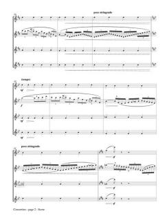 Concertino von Cécile Chaminade 