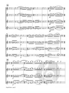 Fragile Peace von Fran Griffin 