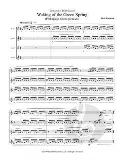 Waking of the Green Spring von Anze Rozman 