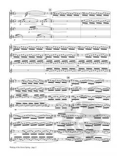 Waking of the Green Spring von Anze Rozman 