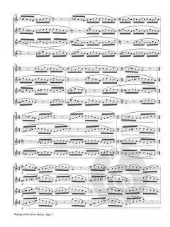 Waking of the Green Spring von Anze Rozman 