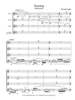 Yearning (Hrepenenje) von Crt Sojar Voglar 