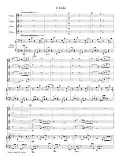 Floris the Complete Set von Catherine McMichael 