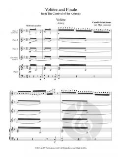 Voliere and Finale from The Carnival of the Animals von Camille Saint-Saëns 