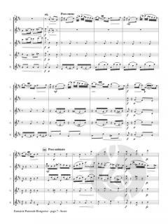 Fantaisie Pastorale Hongroise von Franz Doppler 