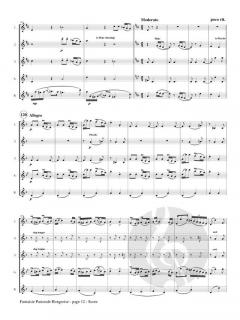 Fantaisie Pastorale Hongroise von Franz Doppler 