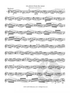 6 Pieces from the Street von Tom Febonio 