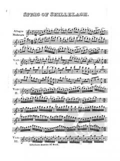 Nicholson's Beauties, Vol. 2 von Charles Nicholson 