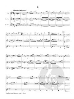 Larghetto and Minuetto von Franz Danzi 