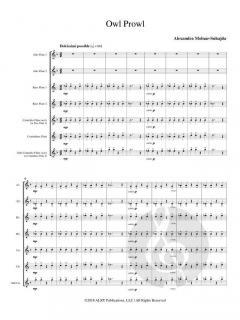 Owl Prowl von Alexandra Molnar-Suhajda 