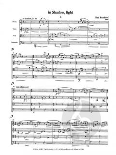 In Shadow, Light von Ken Benshoof 