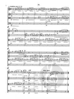 In Shadow, Light von Ken Benshoof 