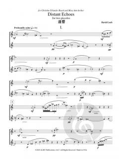 Distant Echoes von David Loeb 