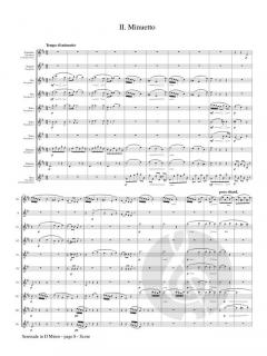 Serenade op. 44 von Antonín Dvořák 