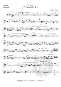 O Northern Star von Stephen Pollock 