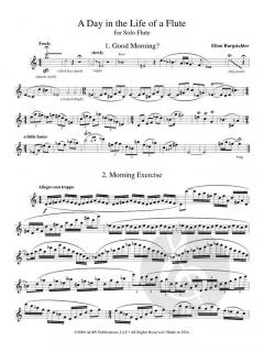 A Day in the Life of a Flute von Elton E. Burgstahler 
