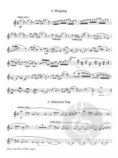 A Day in the Life of a Flute von Elton E. Burgstahler 