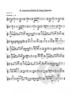 Nature's Song von Benjamin Boone 