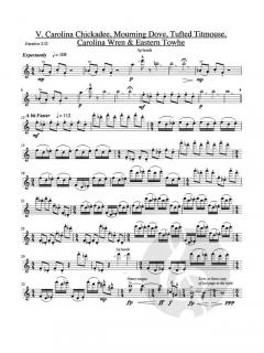 Nature's Song von Benjamin Boone 